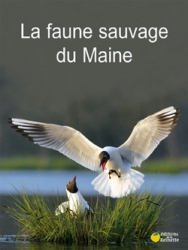 La faune sauvage du Maine