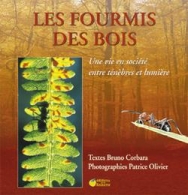 Les fourmis des bois